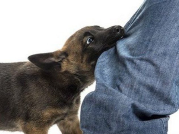 Foto: Rode Kruis Nederland